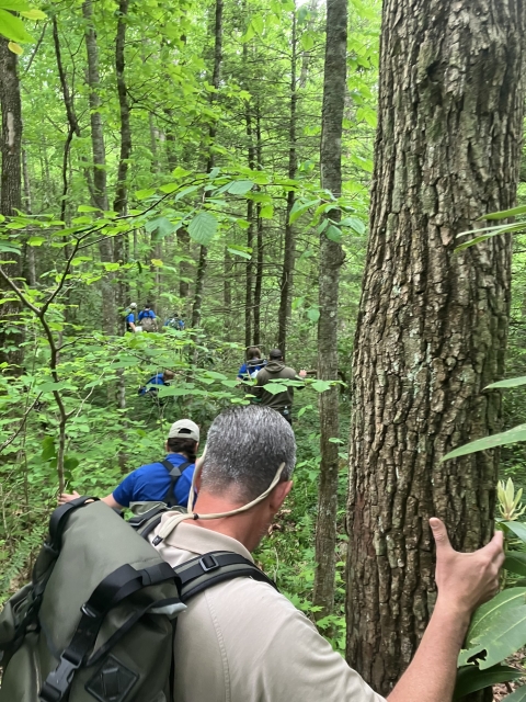 A group of 7 people hiking through the thick woods. 