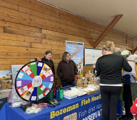 People look at education materials on a table