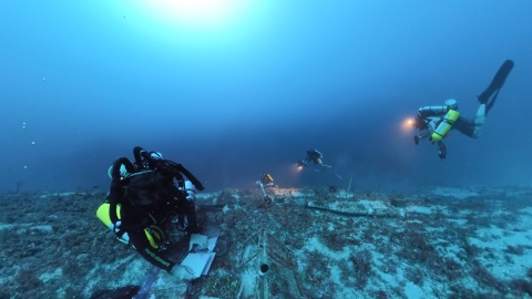 The Deep-CRES Program team scuba dives in the mesophotic coral ecosystem. They are laying out plates used to collect marine cryptobiota, cryptic invertebrates that serve as building blocks for coral. 