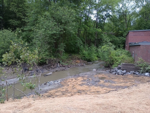 A newly free flowing stream that was once an old dam site.