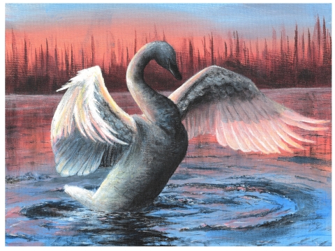 Painting of white trumpeter swan flying out of the water. The swan’s wings are extended, and its head curved down. The background features a forest on the horizon with the pink, red, and orange hues of a sunset behind it. 