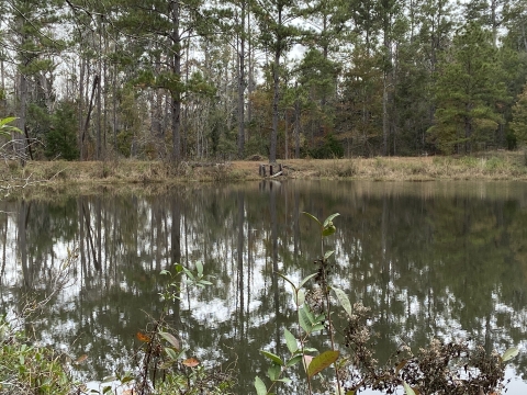 Photo of dam in Gadsden County, Florida