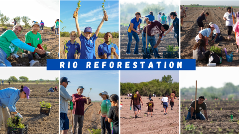 Different pictures with various families and teams planting on a large field.