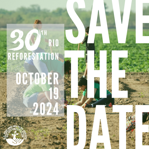 Save the Date, 30th Rio Reforestation, October 19, 2024