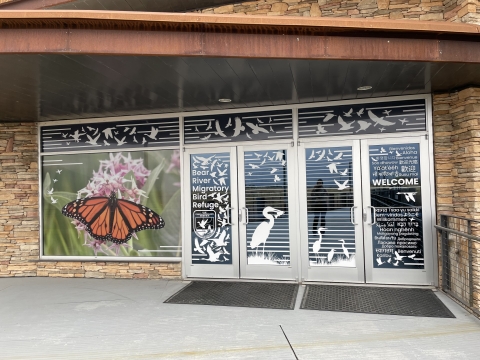 looking at the entrance doors that are fully decorated with words, photos, and lines across the glass