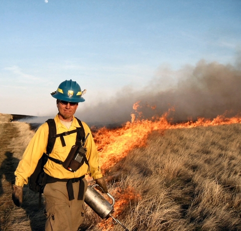 A firefighter wearing a blue hardhat and yellow gear uses a torch to light a prescribed fire