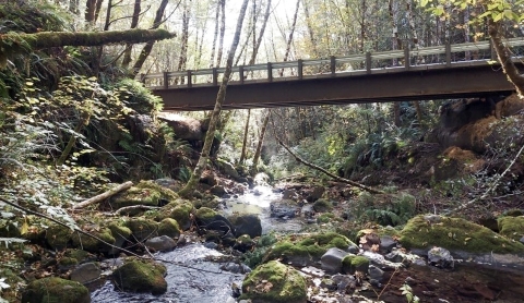 A bridge extends over a rocky stream bed. 