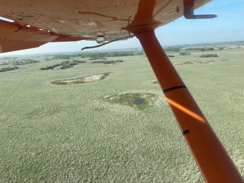 aerial view under a plane wing of a green landscape