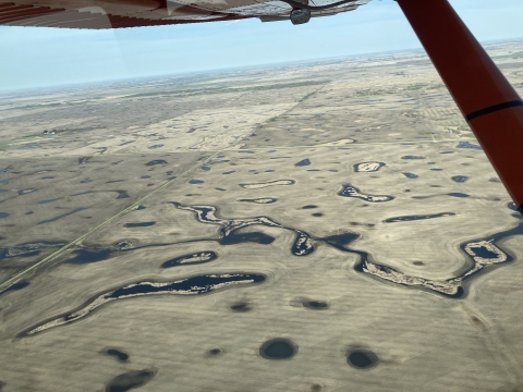 aerial view of wetlands on a landscape