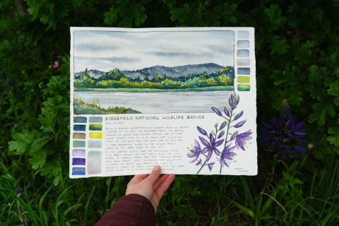 A hand (the artsit, Claire Giordano) holding her artwork up, next to the Camas plant she painted of a wetland scene and camas lily. 