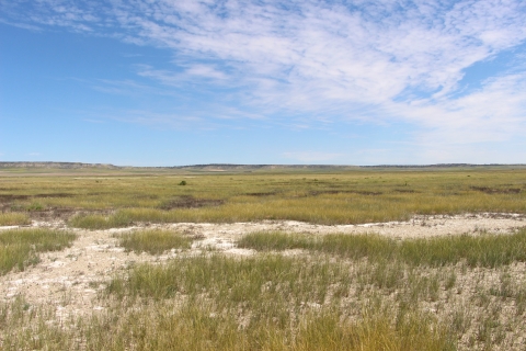 Green grasses interspersed with bare white soil under blue skies with white wispy clouds.