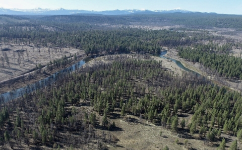 An aerial image shows a river and trees in the distance. 