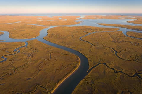 a picture of saltmarsh and creeks