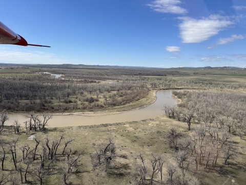 aerial view of a river