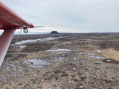 aerial view of rocky wetlands