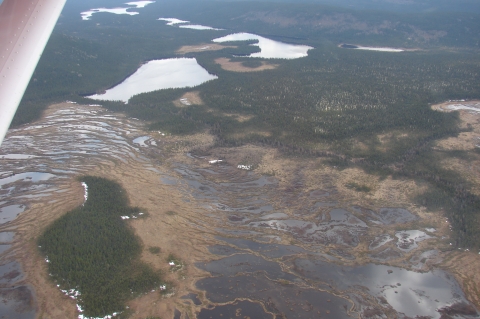 aerial view of wetlands and trees on the landscape