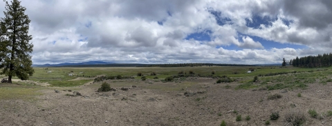 A grassy river bank with trees and mountains in the background. 