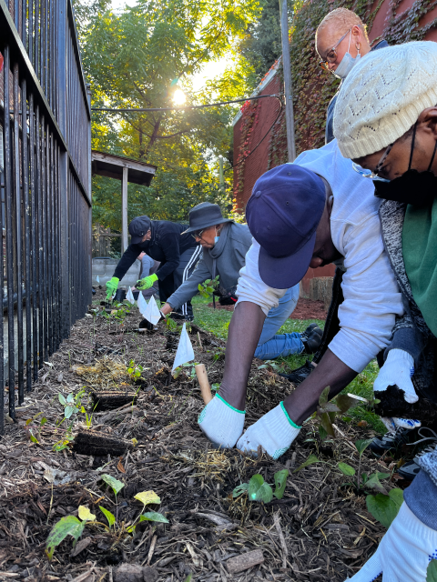 Four people plant a garden beside a wrought-iron fence