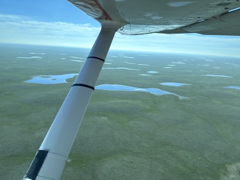 aerial view of wetlands and ponds on a landscape