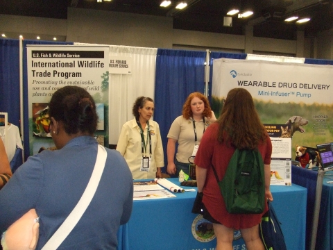 Two women stand behind a table and two women are in front of the table. There is an engagement between the women.