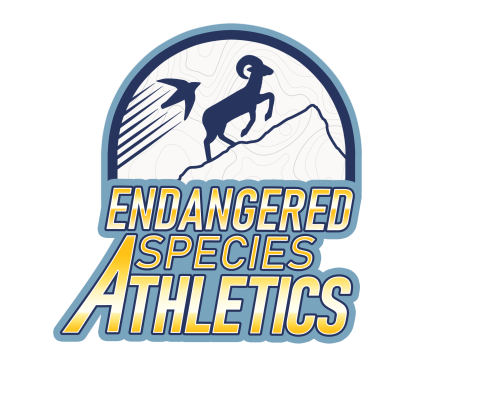 logo that shows a silhouette of a bighorn sheet and bird going up the side of a mountain with the text "Endangered Species Athletics"