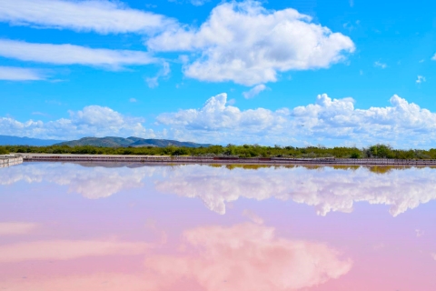 View of the pink hue in a hypersaline lagoon at the Cabo Rojo Salt Flats due to the presence of the microalgae Dunaliella salina.