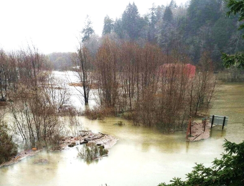 river flooding land and trees