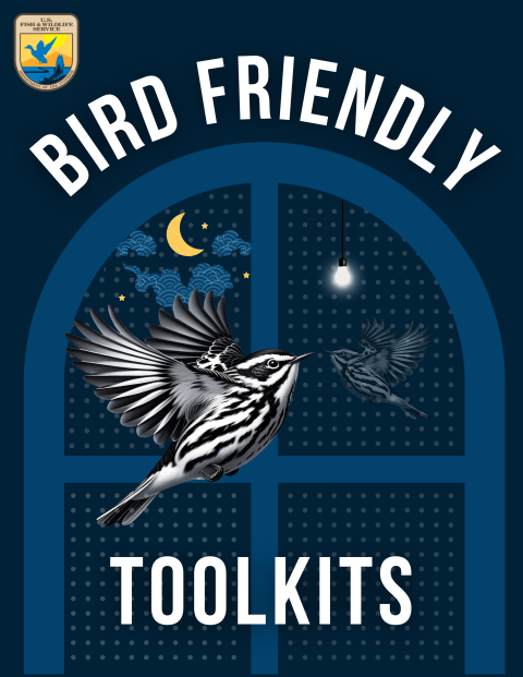 Bird friendly toolkits graphic