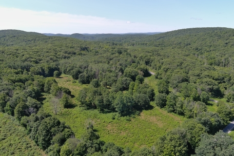 an expanse of green forest and fields, with blue sky and clouds