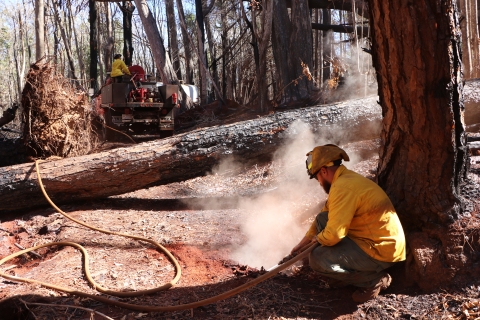 The State of Hawaiʻi Department of Land and Natural Resources Department of Forestry and Wildlife fire team manage hotspots left by the Maui wildfires a month after the fires took place. Broken and burnt trees line the forest as the fire team uses water hoses to wet the dirt and make sure it does not start again.