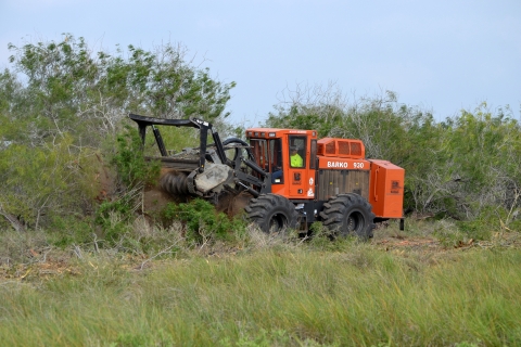 Industrial tractor with drum chopper attachment performing a mechanical vegetation treatment