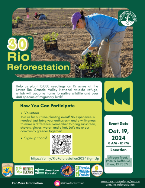 English flyer to Rio Reforestation