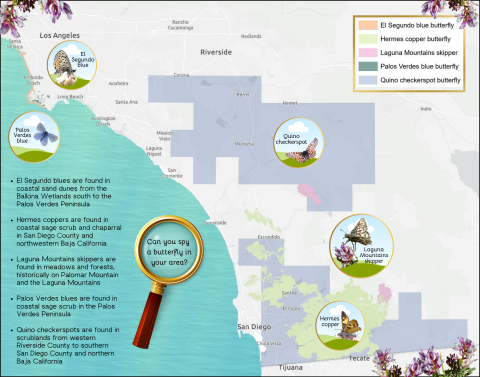 five butterflies mapped on Southern California coast