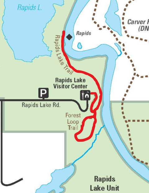 Zoomed in map of Rapids Lake Unit, with red marker depicting the trails that make up a 5k route.