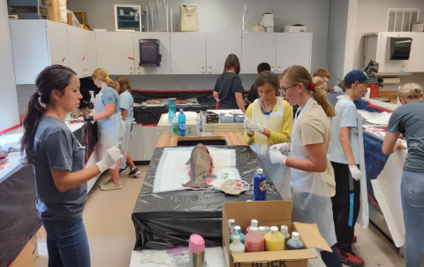 Two girls stand with their teacher around a lab bench with a large steelhead on it. There are paints and a paint pallet on the lab bench