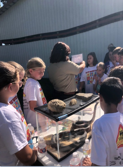 Students learning about snakes 