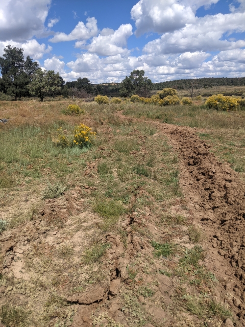 Image of a steep dug path and 2 lines curving through a field with trees in the distance