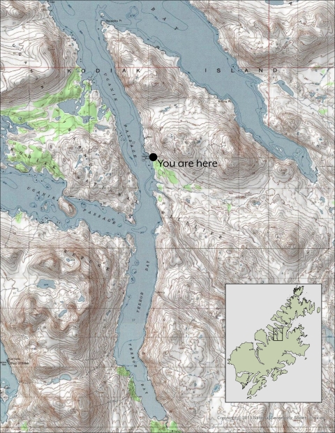 A topographic map zoomed in to the north central area of the Kodiak archipelago. A black dot with text "You are Here" indicates the location of Quluryaq where the waters of the East Passage converge with Terror Bay.