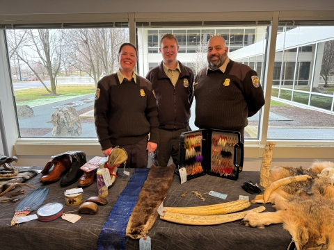 Three uniformed wildlife inspectors stand behind a table with animal skins and skulls