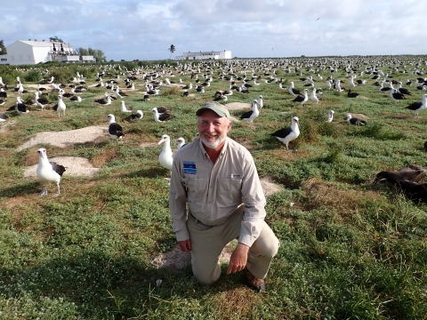 Jon Plissner kneeling on grassy field in a colony of Laysan albatross at Midway Atoll.