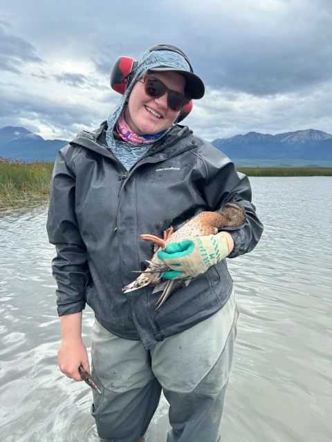 biologist holds a mallard