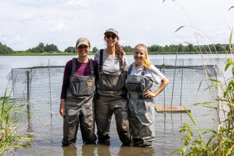 three people in waders stand in a wetland