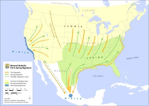 Map of Canada to Mexico showcasing pathways of monarch migration in US north to south, with spring and fall paths shown distinctly