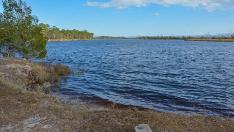 Ochlockonee River waterfront