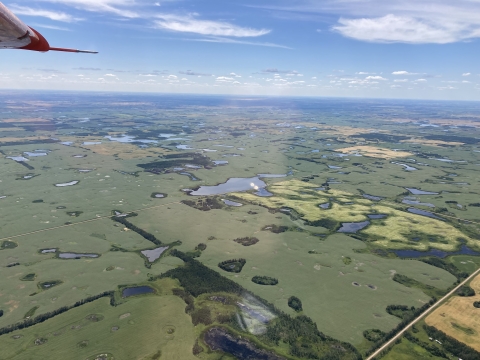 aerial view of wetlands on a landscape