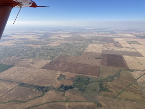 aerial view of dry grasslands on the landscape