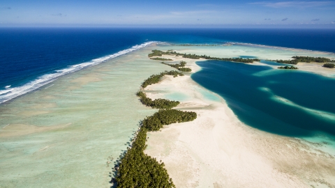 Aerial view of Palmyra shores and palm trees