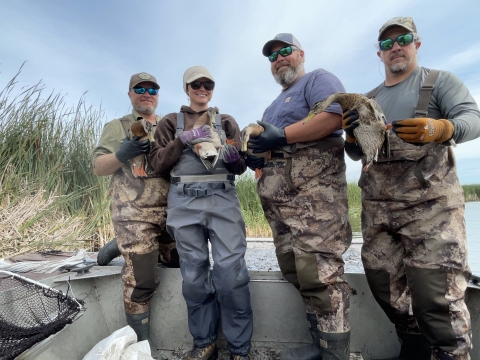 four people standing and holding ducks