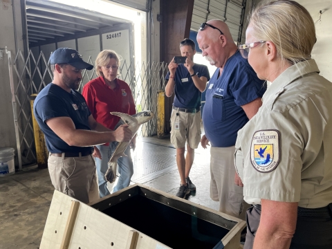 a group of 4 people surround a man holding a sea turtle that has just been removed from a transport box.