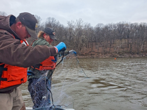 Two men deploying a gill net on brown color river from a boat in cold weather.